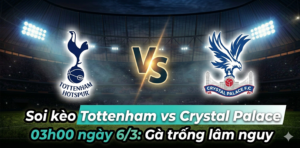 Soi kèo Tottenham vs Crystal Palace, 03h00 ngày 63 Derby rực lửa tại London